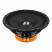 DL Audio Phoenix Sport 300