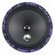 DL Audio Piranha 200