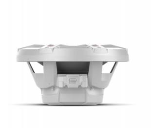 Rockford Fosgate M1D2-10